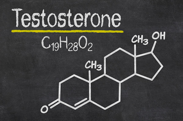 Testosterone Enhancement