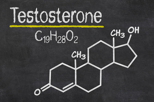 Testosterone Enhancement